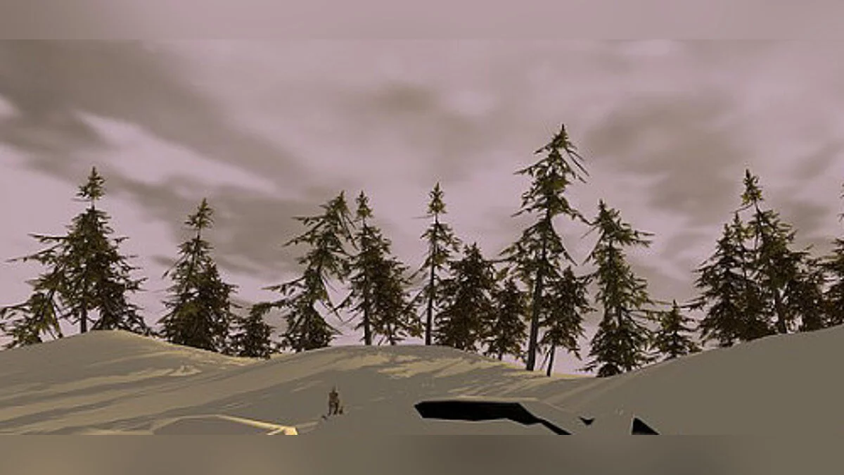 The Long Dark — Трейнер / Trainer (+11) [3.39] [MrAntiFun]