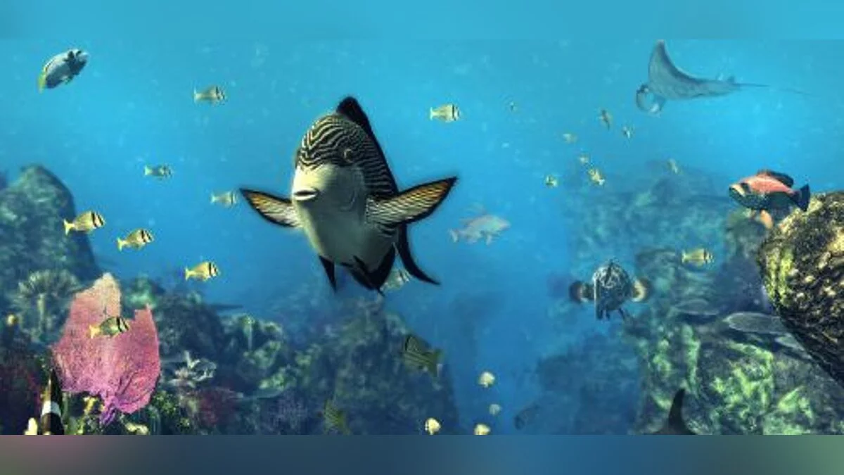 Depth Hunter 2: Deep Dive — Трейнер / Trainer (+5) [1.1: Steam] [elDDS]