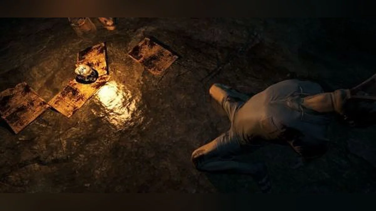 The Forest — Трейнер / Trainer (+10) [0.57b] [MrAntiFun]