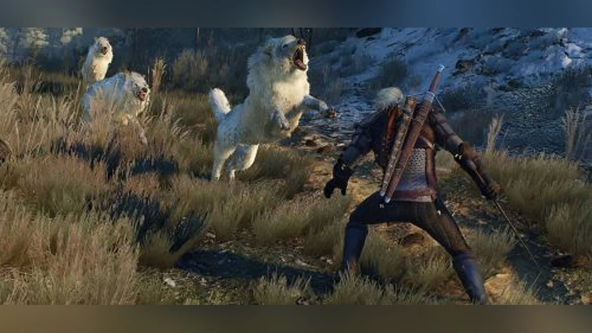 The Witcher 3: Wild Hunt — Трейнер / Trainer (+13) [1.22] [iNvIcTUs oRCuS / HoG]