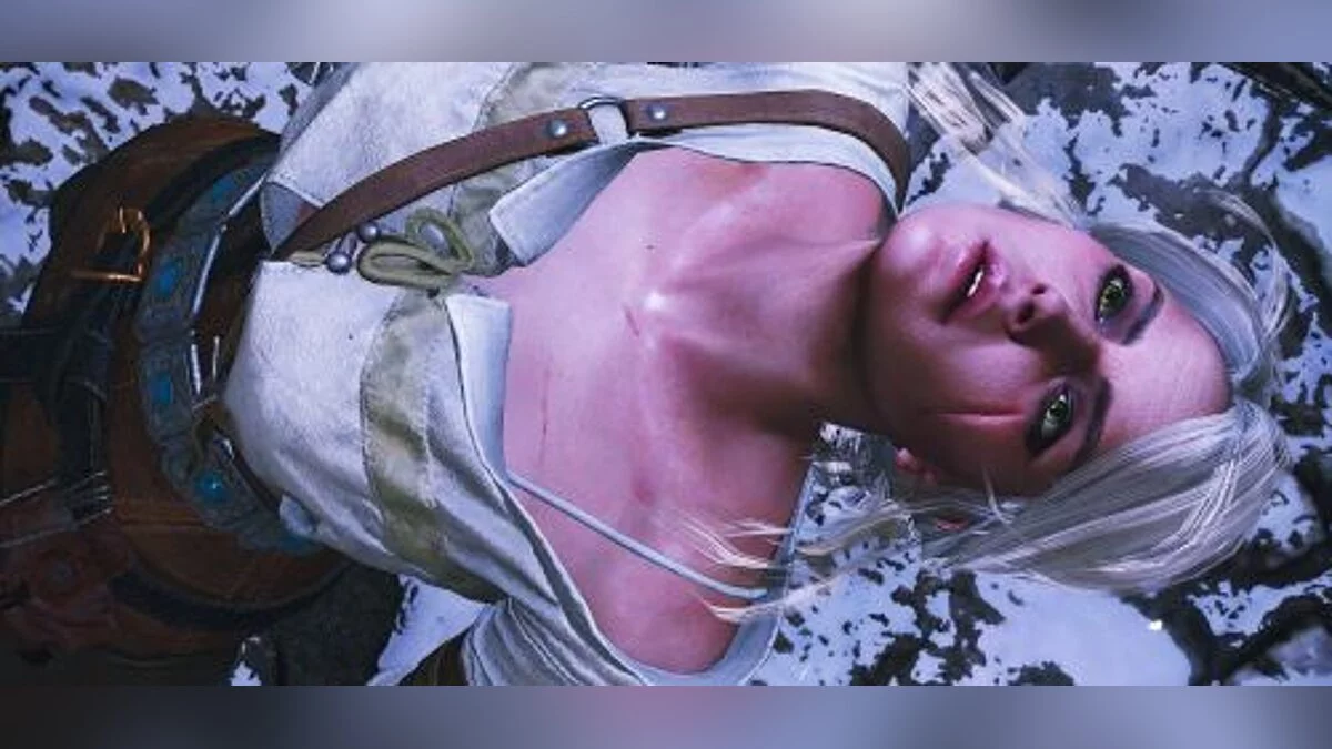 The Witcher 3: Wild Hunt — Трейнер / Trainer (+24) [1.06] [MrAntiFun]