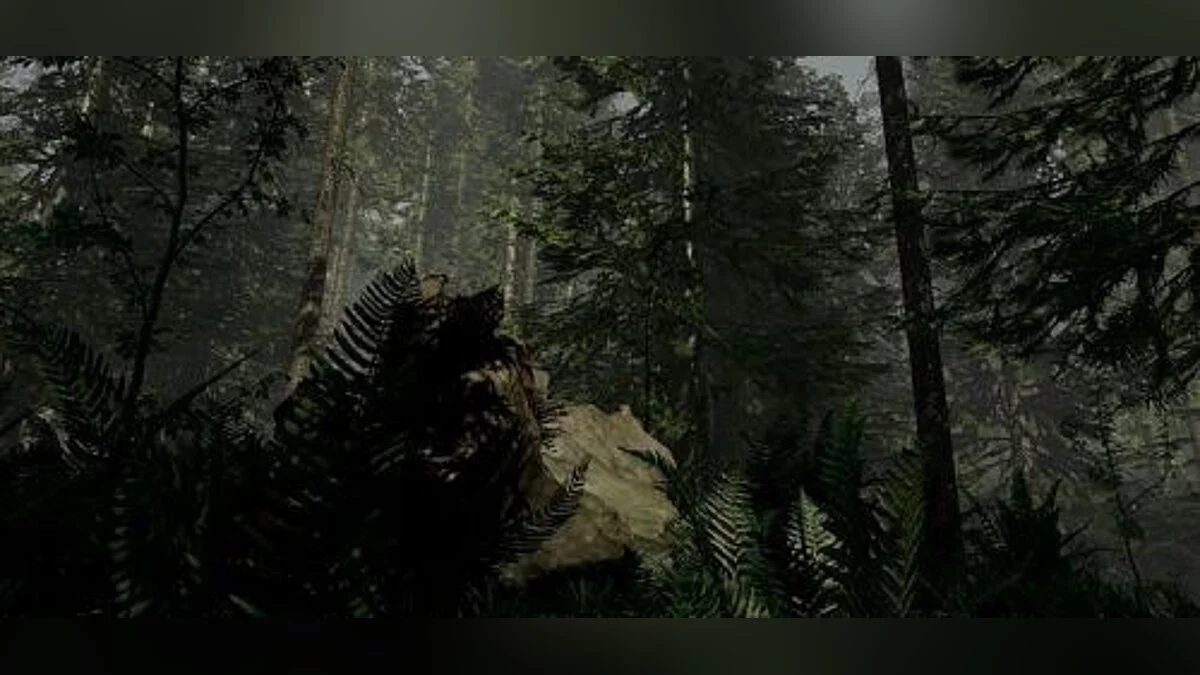 The Forest — Трейнер / Trainer (+9) [0.37] [MrAntiFun]