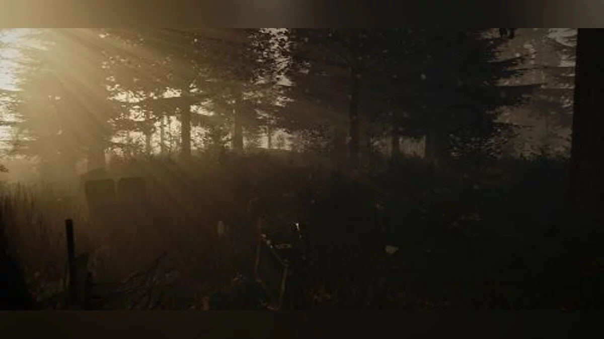 The Forest — Трейнер / Trainer (+9) [0.29b] [MrAntiFun]