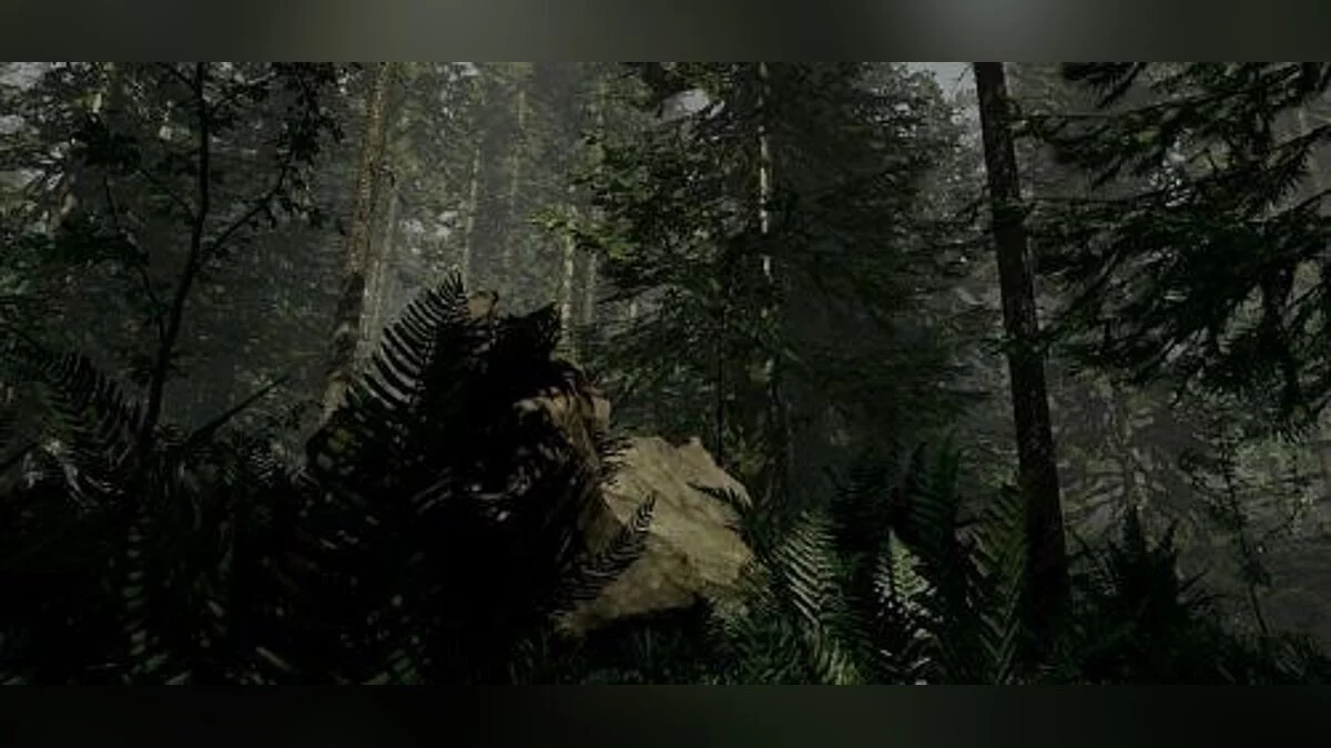 The Forest — Трейнер / Trainer (+9) [0.25] [MrAntiFun]