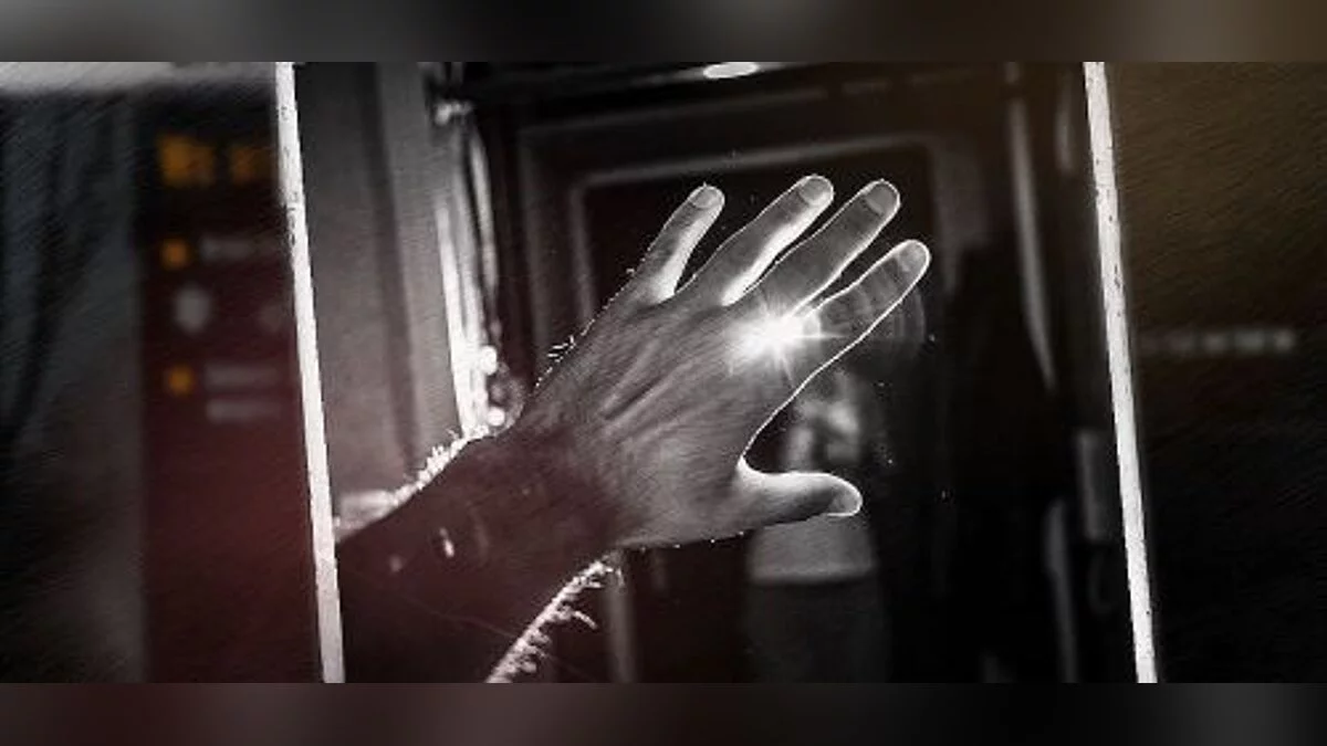 This War of Mine — Трейнер / Trainer (+7) [3.0 - 3.0.2] [FLiNG]