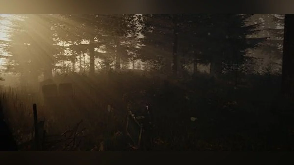 The Forest — Трейнер / Trainer (+7) [0.6] [MrAntiFun]