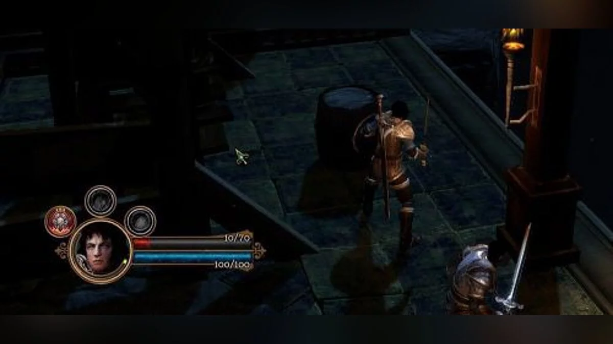 Dungeon Siege 3 — Трейнер / Trainer (+3) [UPD: 18.03.2017] [MrAntiFun]