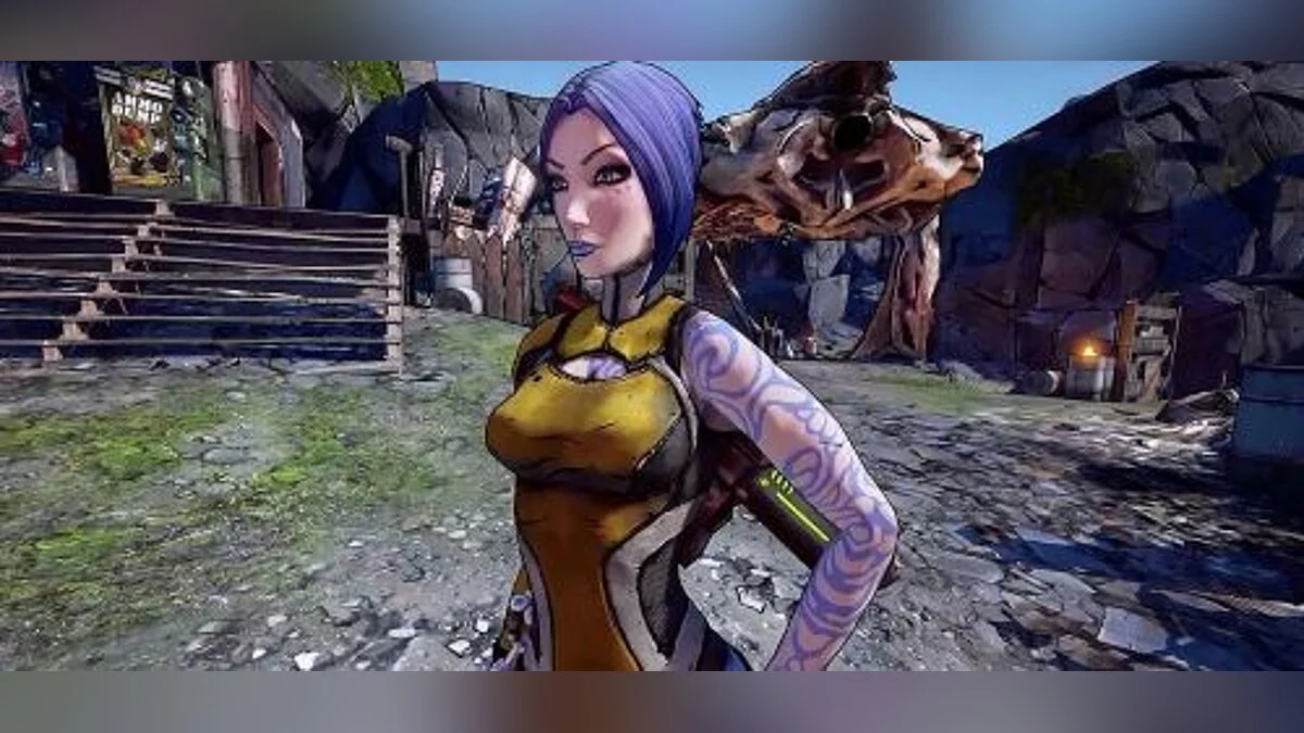 Borderlands 2 — Сохранение / SaveGame (Assasin, 72 lvl)