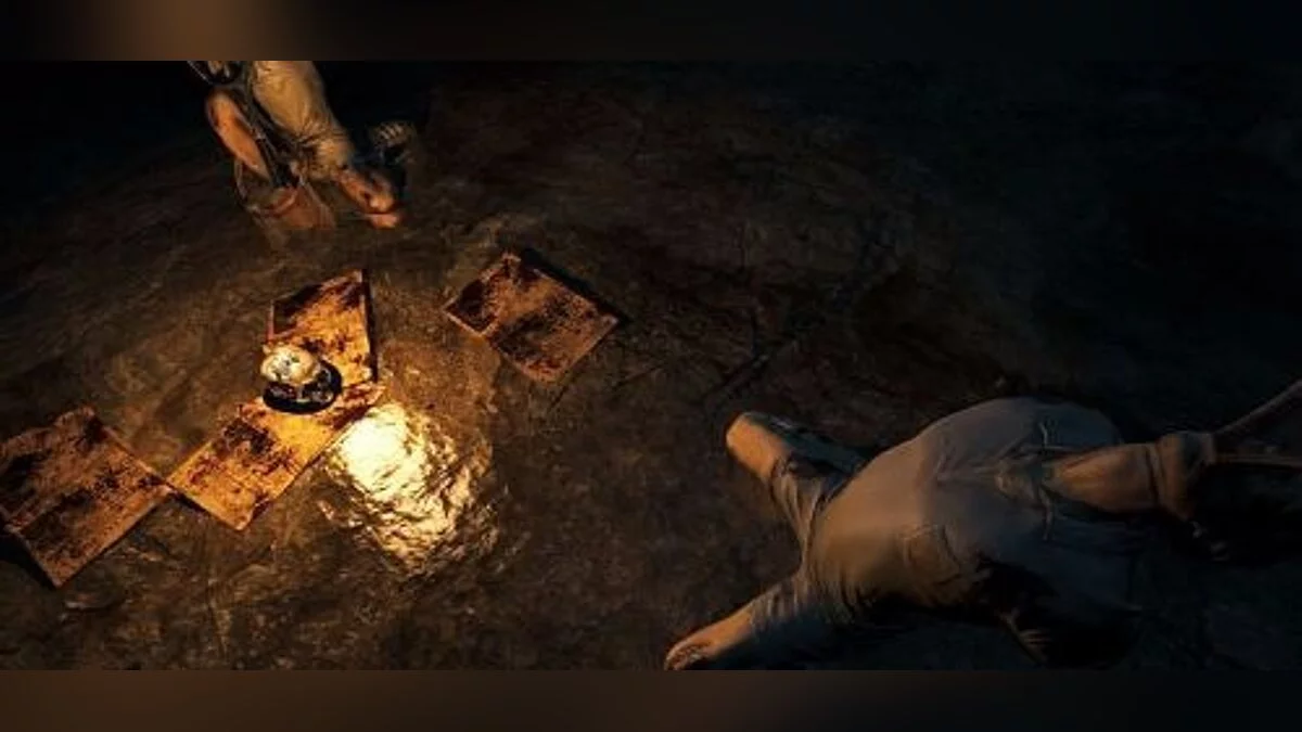 The Forest — Трейнер / Trainer (+10) [0.61c] [MrAntiFun]