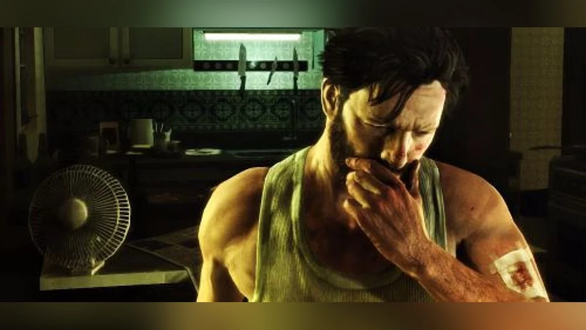 Max Payne 3 — Трейнер / Trainer (+5) [1.0.0.113] [sILeNt heLLsCrEAm / HoG]