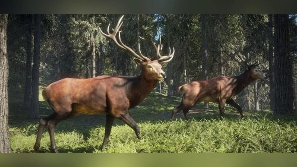 theHunter: Call of the Wild — Трейнер / Trainer (+12) [1.7] [LinGon]