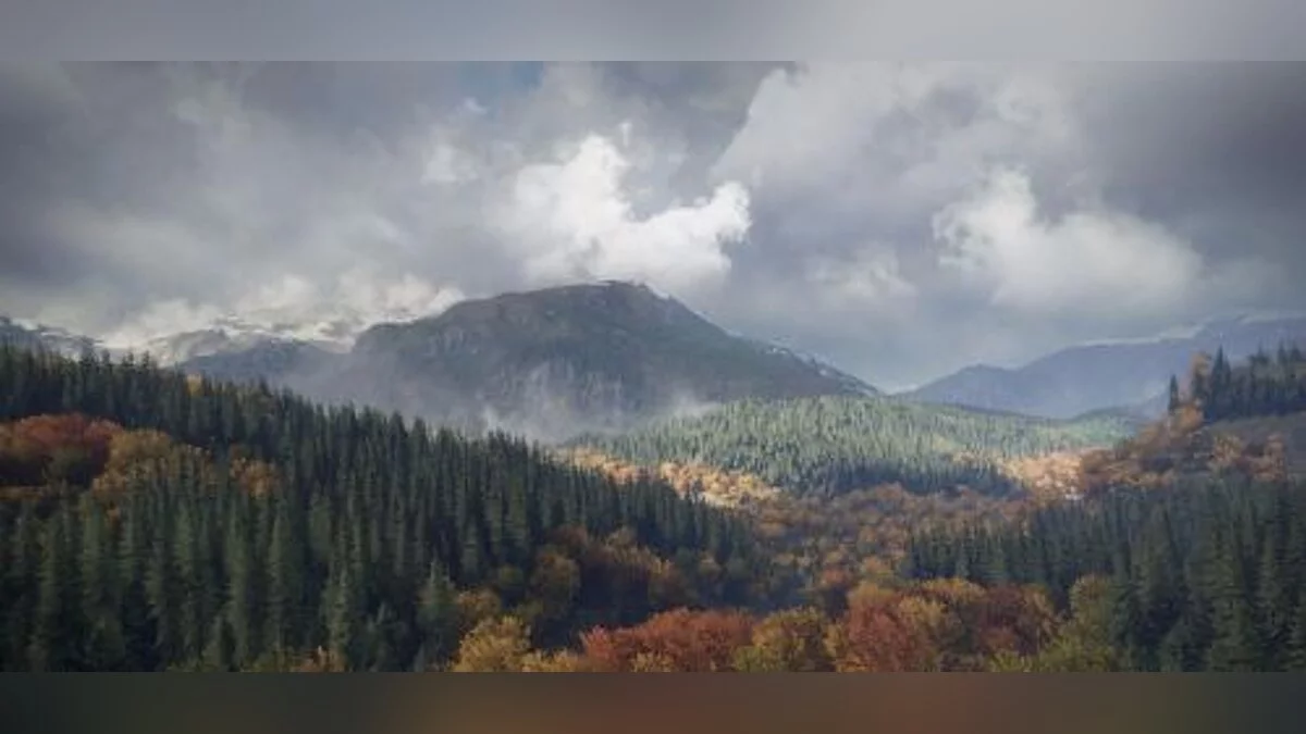 theHunter: Call of the Wild — Трейнер / Trainer (+11) [1.01] [FutureX]