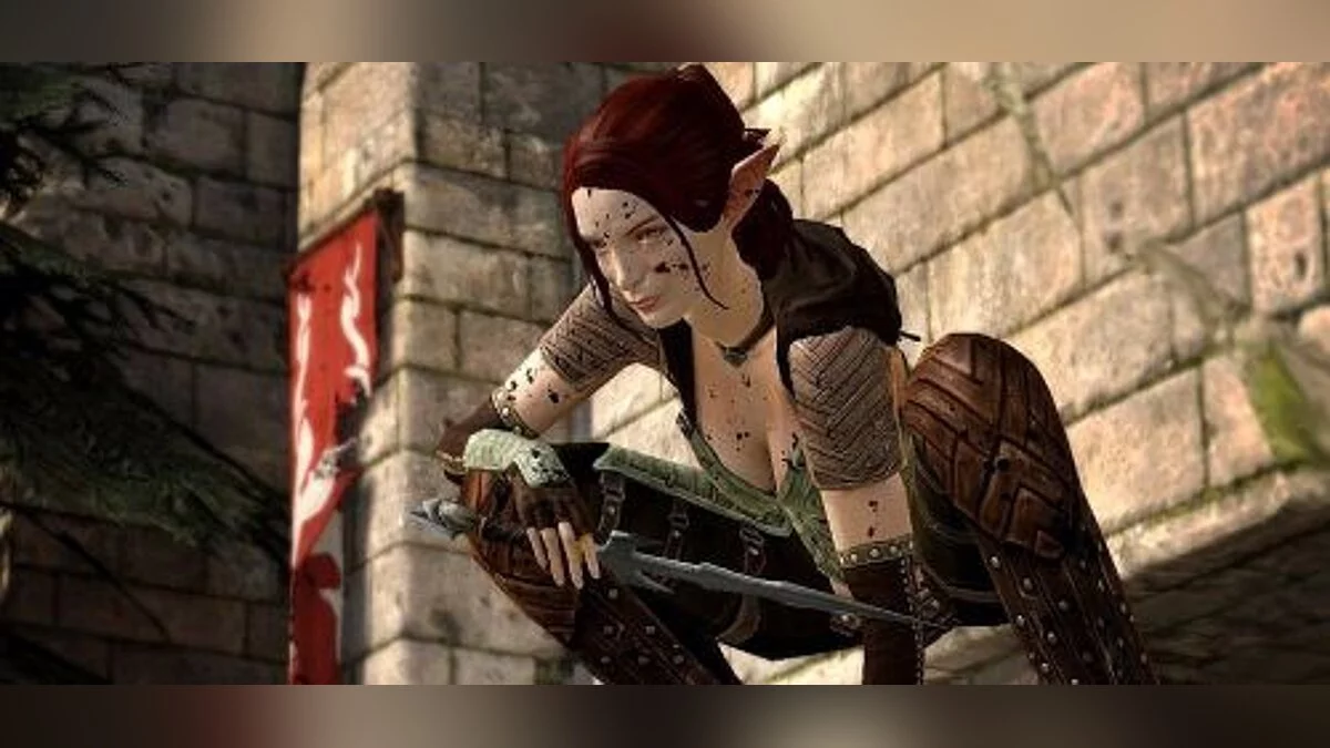 Dragon Age 2 — Сохранение / Savegame (Начало, после Флемет, 6 уровень, в Кирковолле)