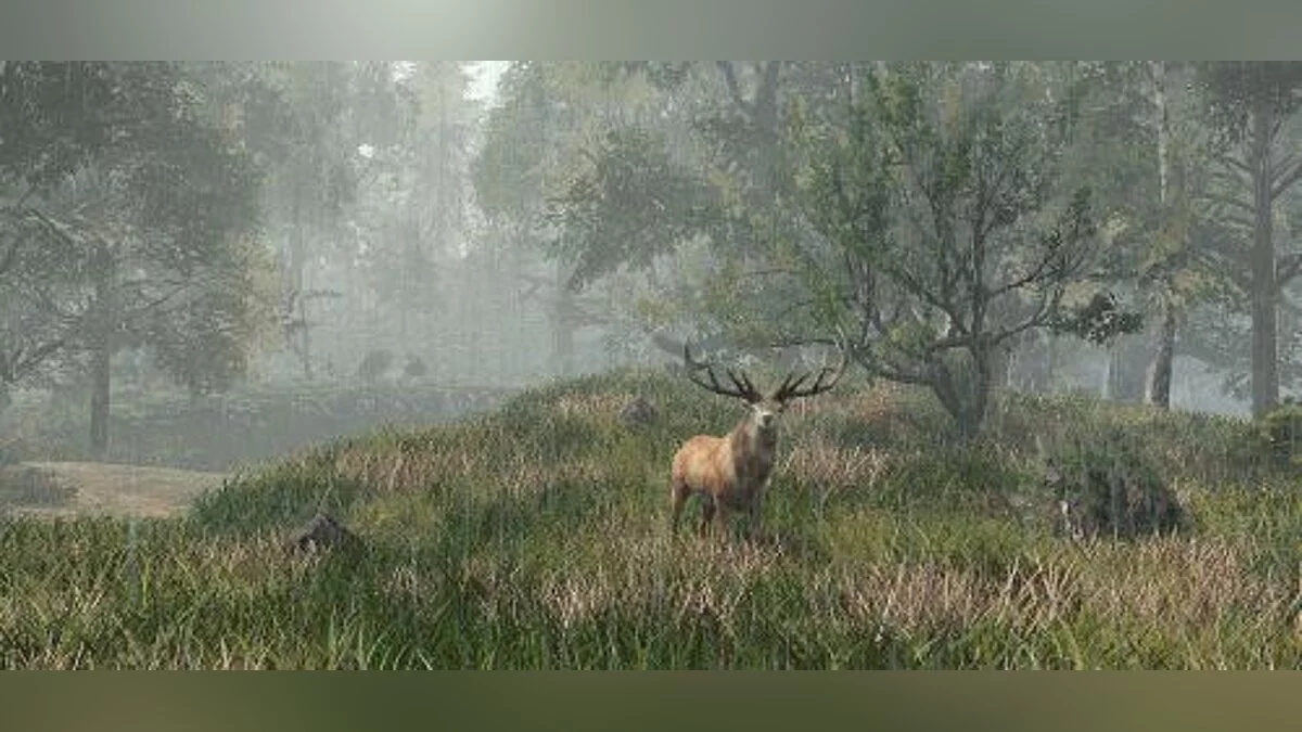 Life is Feudal: Forest Village — Трейнер / Trainer (+8) [Update: 31.08.16] [FLiNG]