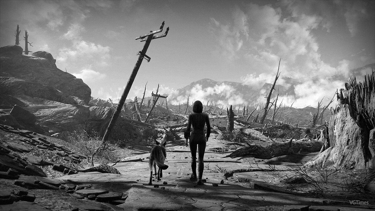 Fallout 4 — Сохранение / SaveGame (Женщина, 28 уровень)