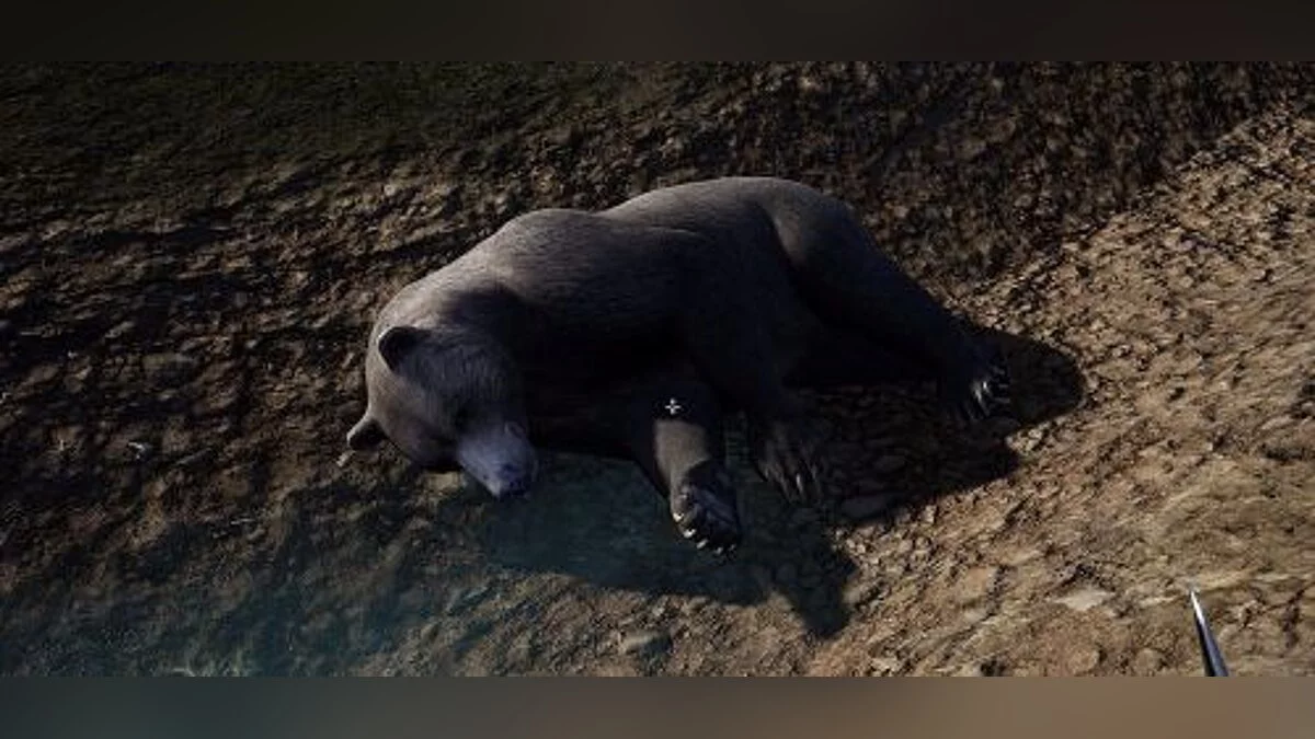 Hold Your Own — Трейнер / Trainer (+8) [UPD: 02.12.2017] [MrAntiFun]