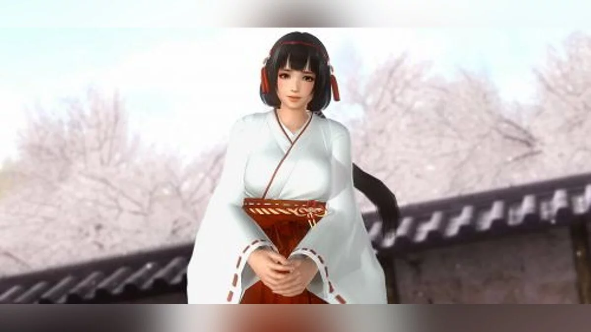 Dead or Alive 5: Last Round — Трейнер / Trainer (+4) [1.0] [FLiNG]