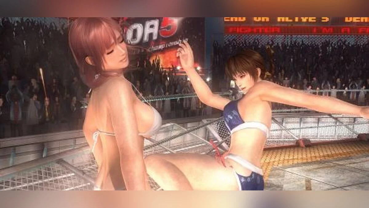 Dead or Alive 5: Last Round — Трейнер / Trainer (+9) [1.0.2 - 1.0.4] [FLiNG]