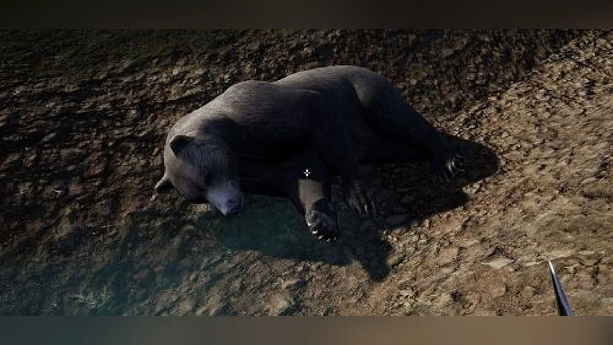 Hold Your Own — Трейнер / Trainer (+8) [UPD: 14.01.2018] [MrAntiFun]