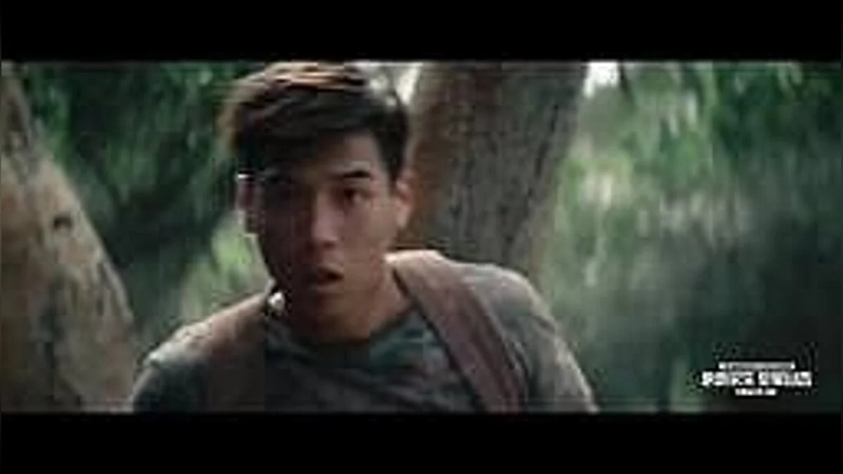 Dynasty Warriors 9 — Трейнер / Trainer (+14) [1.0] [FLiNG]