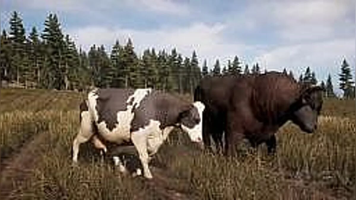 Восточный фронт: Неизвестная война — Трейнер / Trainer (+6 / +7) [Gold Edition] [LIRW / GHL]