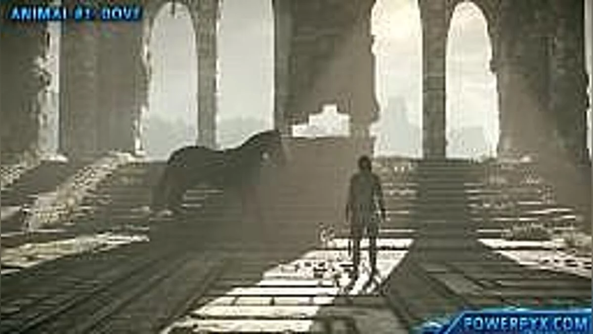 Past Cure — Трейнер / Trainer (+6) [1.0 - Update 1] [Abolfazl.k]