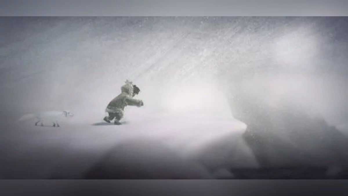 Never Alone — Сохранение / SaveGame (Игра пройдена на 100%, разблокированы все уровни, все видео, таблетка CODEX) [Soul Fly]