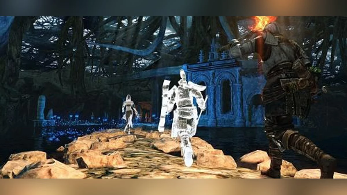 Dark Souls 2 — Трейнер / Trainer (+22) [1.11] [MrAntiFun]