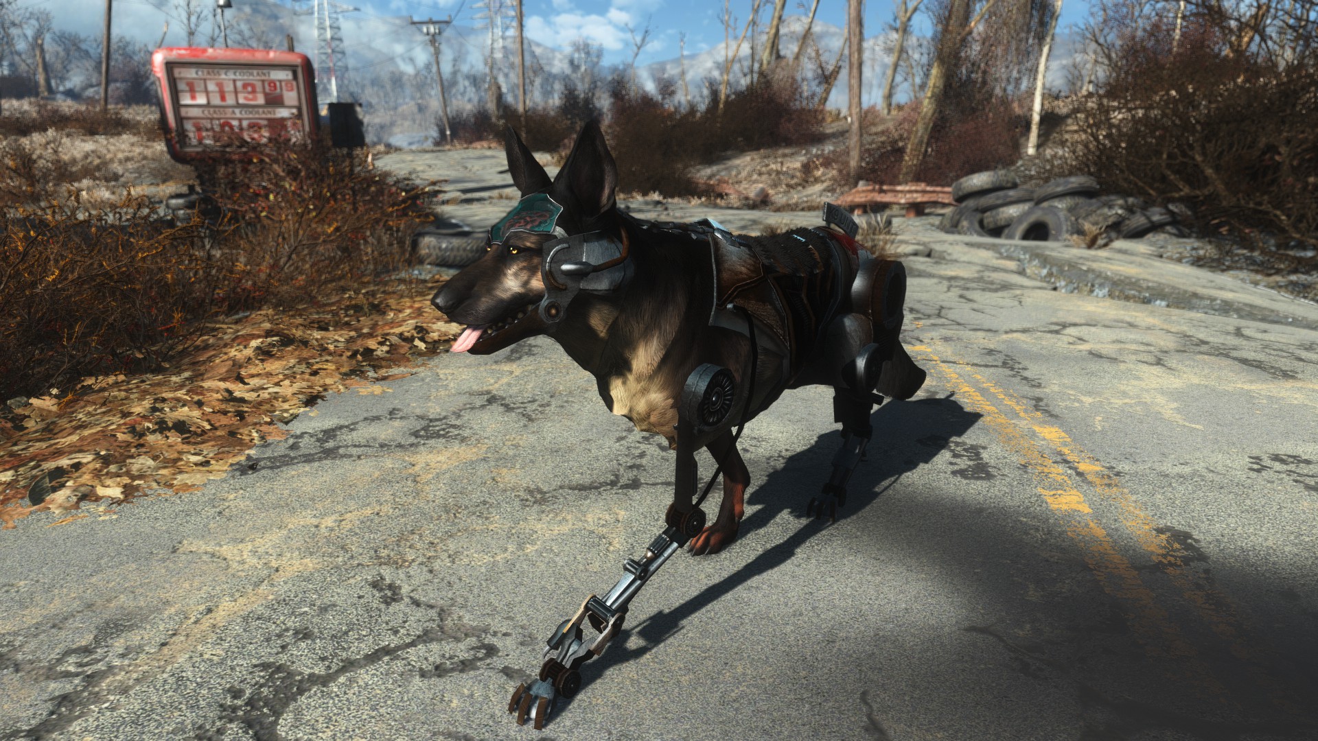 Fallout 4 пес фото 57