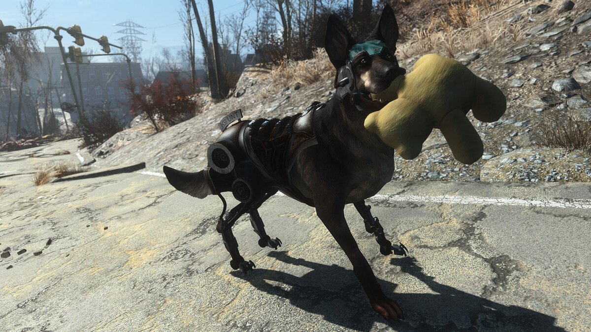 Fallout 4 псина баг фото 91