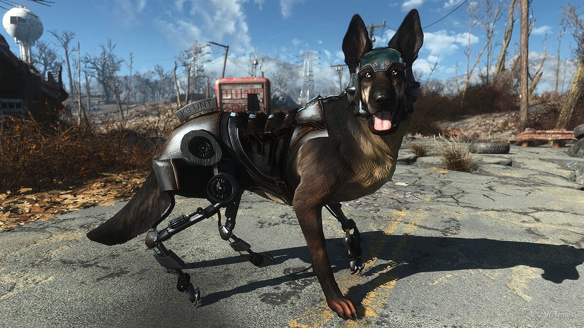 Fallout 4 4k dogmeat фото 52