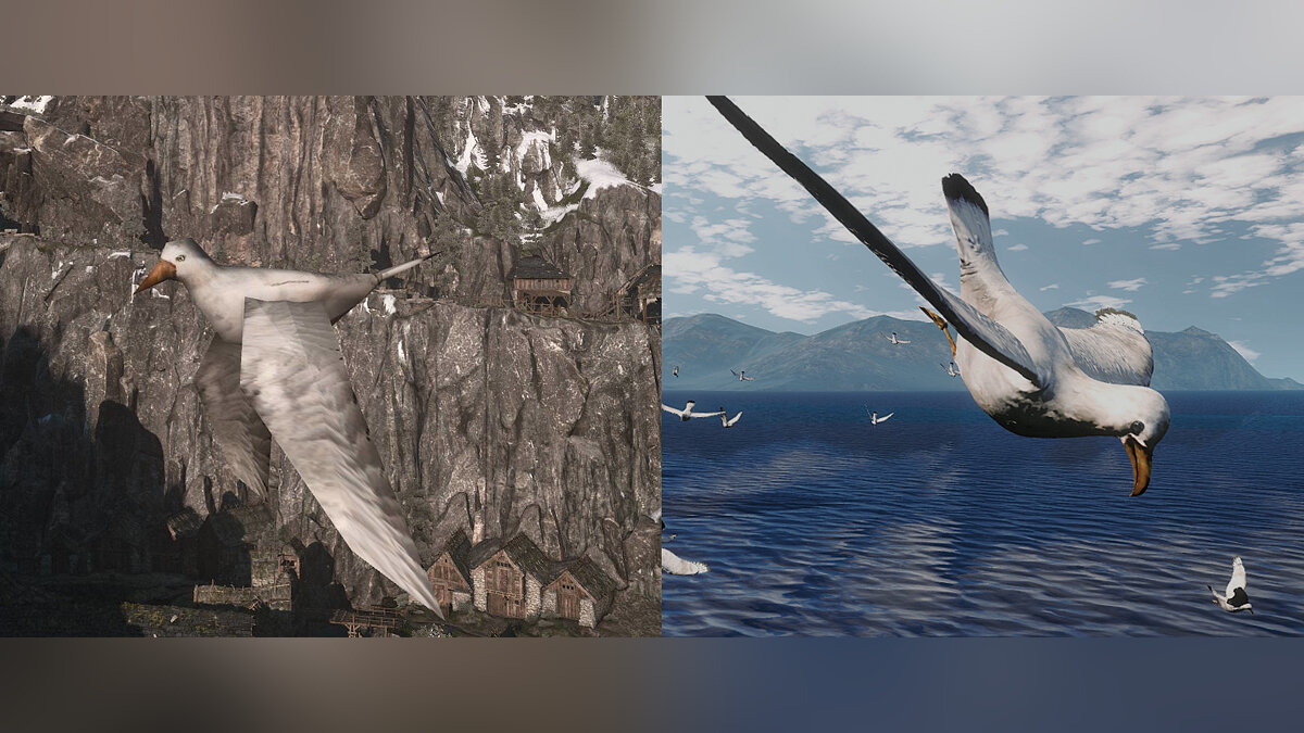 The Witcher 3: Wild Hunt — Переработанные модели и текстуры птиц (E3 HD Birds Reworked Project)