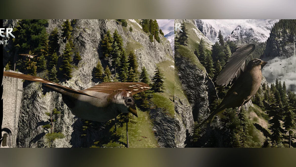 The Witcher 3: Wild Hunt — Переработанные модели и текстуры птиц (E3 HD Birds Reworked Project)
