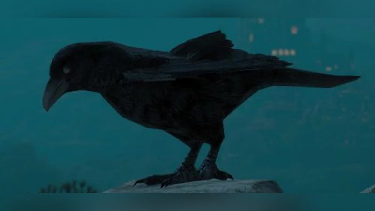 The Witcher 3: Wild Hunt — Переработанные модели и текстуры птиц (E3 HD Birds Reworked Project)