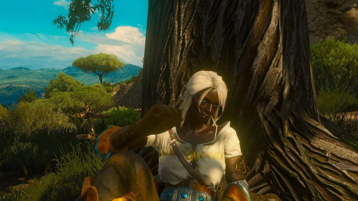 The Witcher 3: Wild Hunt — Черная Цири (Netflix Ciri) [1.0]