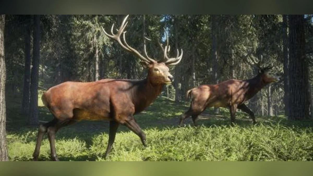 theHunter: Call of the Wild — Трейнер / Trainer (+17) [1528101] [iNvIcTUs oRCuS / HoG]