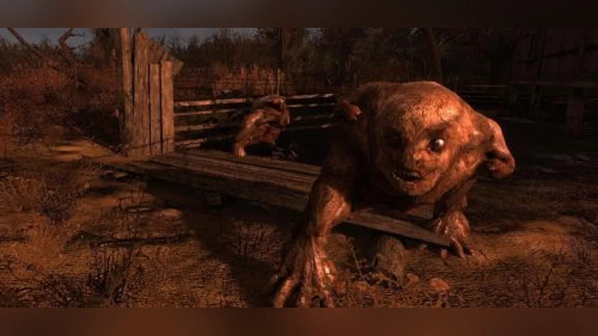 S.T.A.L.K.E.R.: Clear Sky — Трейнер / Trainer (+24) [1.5.10] [LIRW / GHL] - Updated: 15.10.2018