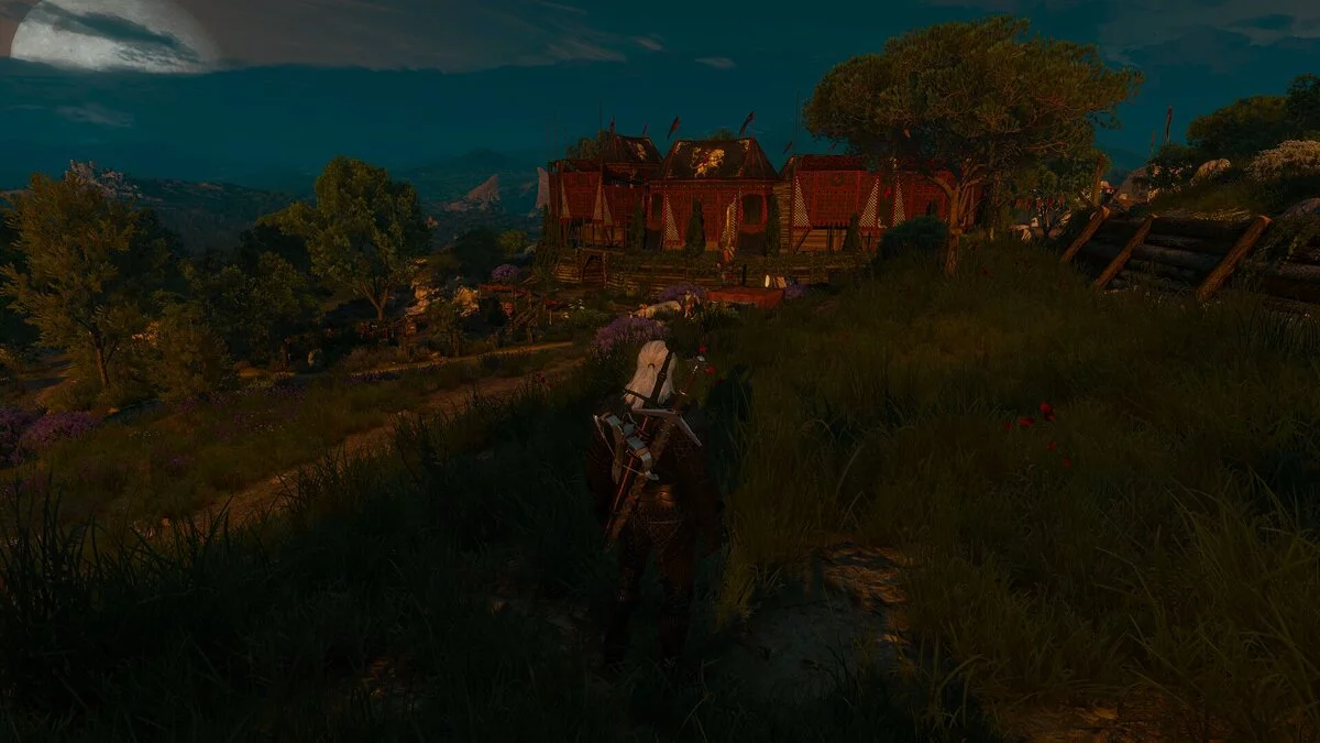 The Witcher 3: Wild Hunt — Увеличенная дальность прорисовки для Туссента (Increased Draw Distance for Toussaint) [1.0]