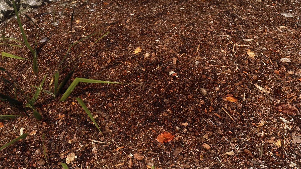 The Elder Scrolls 5: Skyrim — Улучшенные текстуры ландшафта (Skyrim 2019) [1.0]