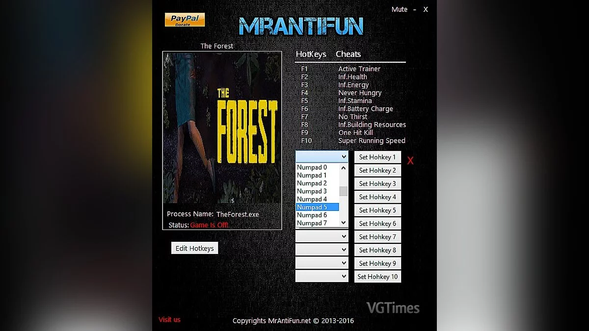 The Forest — Трейнер / Trainer (+10) [Build 3496148] [MrAntiFun]