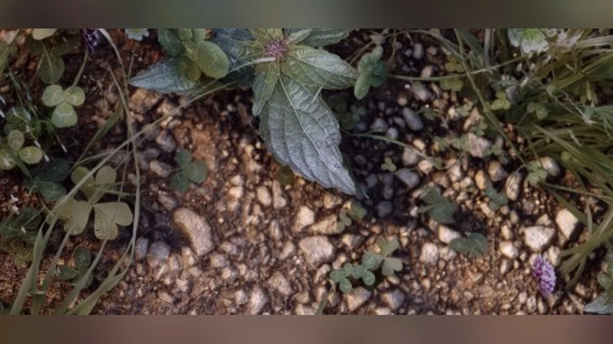 The Elder Scrolls 5: Skyrim — Огромный пак текстур 2К и 4К-разрешения (Skyrim Community Texture Project) [1.1]