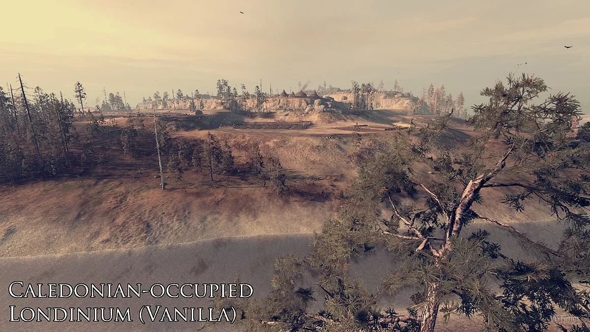 Total War: Attila — Изменения в архитектуре поселений