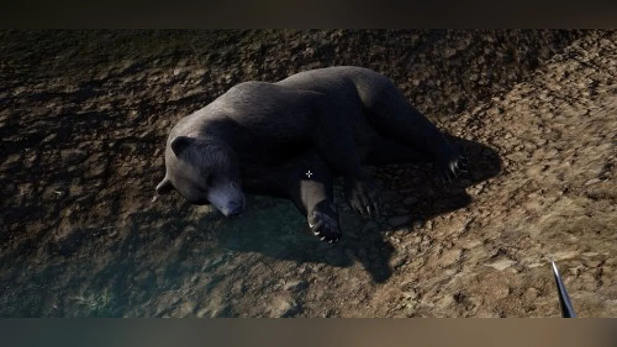 Hold Your Own — Трейнер / Trainer (+9) [8.3] [MrAntiFun]