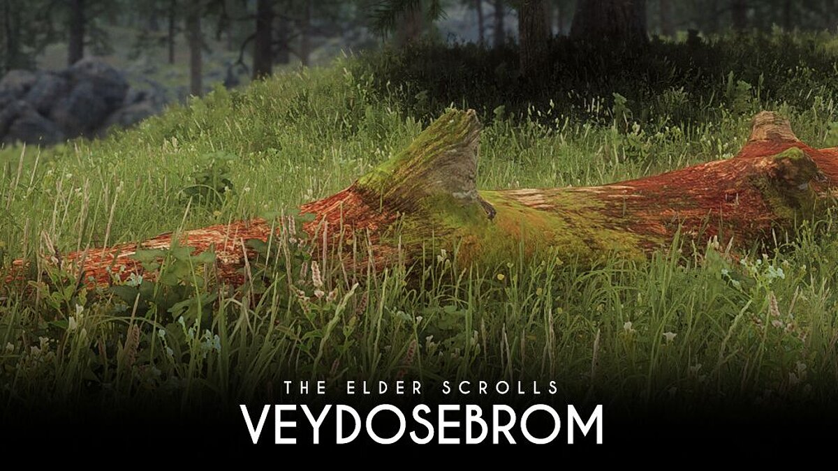 Elder Scrolls 5: Skyrim Special Edition — Veydosebrom – тонны травы и растительности