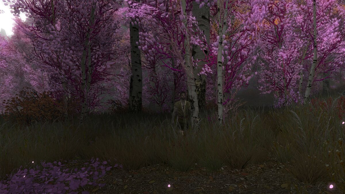 The Elder Scrolls 5: Skyrim — Розовые деревья в Рифтене