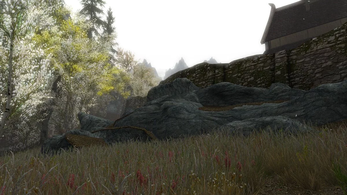 The Elder Scrolls 5: Skyrim — Белые деревья в Рифтене