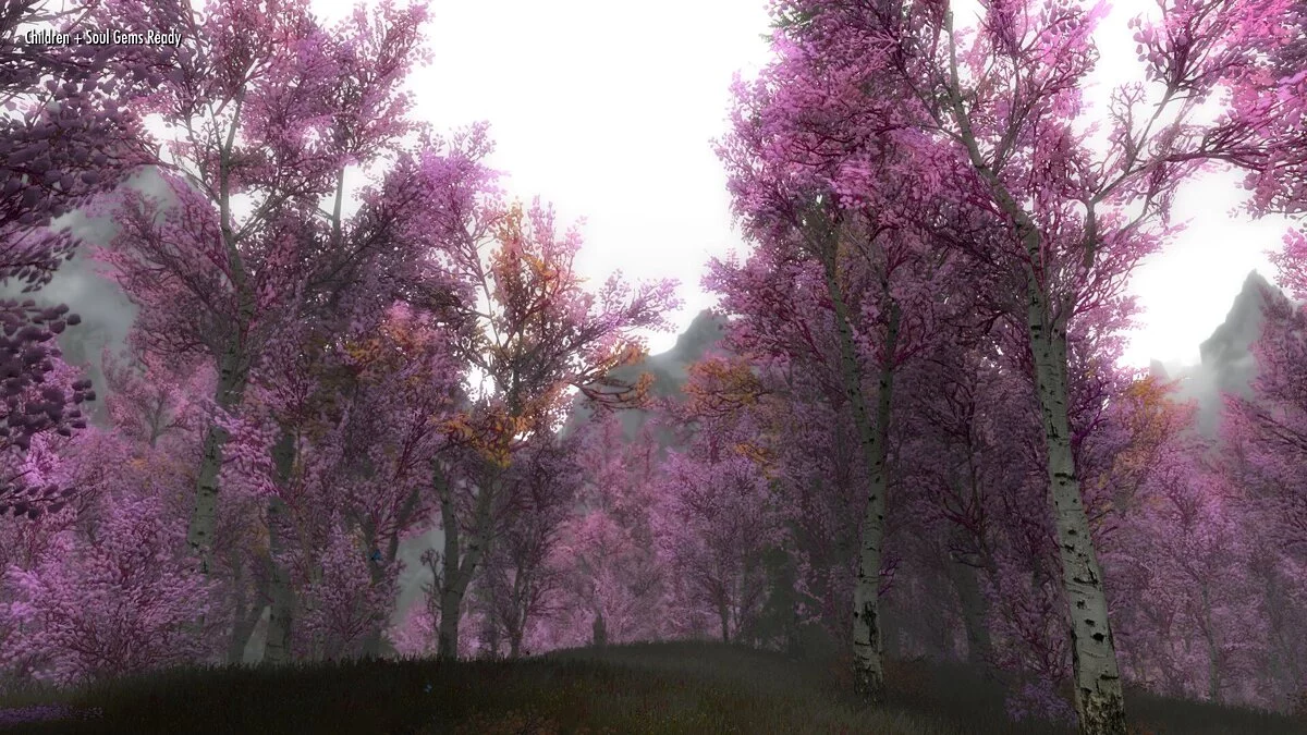 The Elder Scrolls 5: Skyrim — Розовые деревья в Рифтене