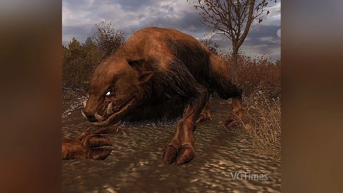 S.T.A.L.K.E.R.: Call of Pripyat — Новые кабаны 