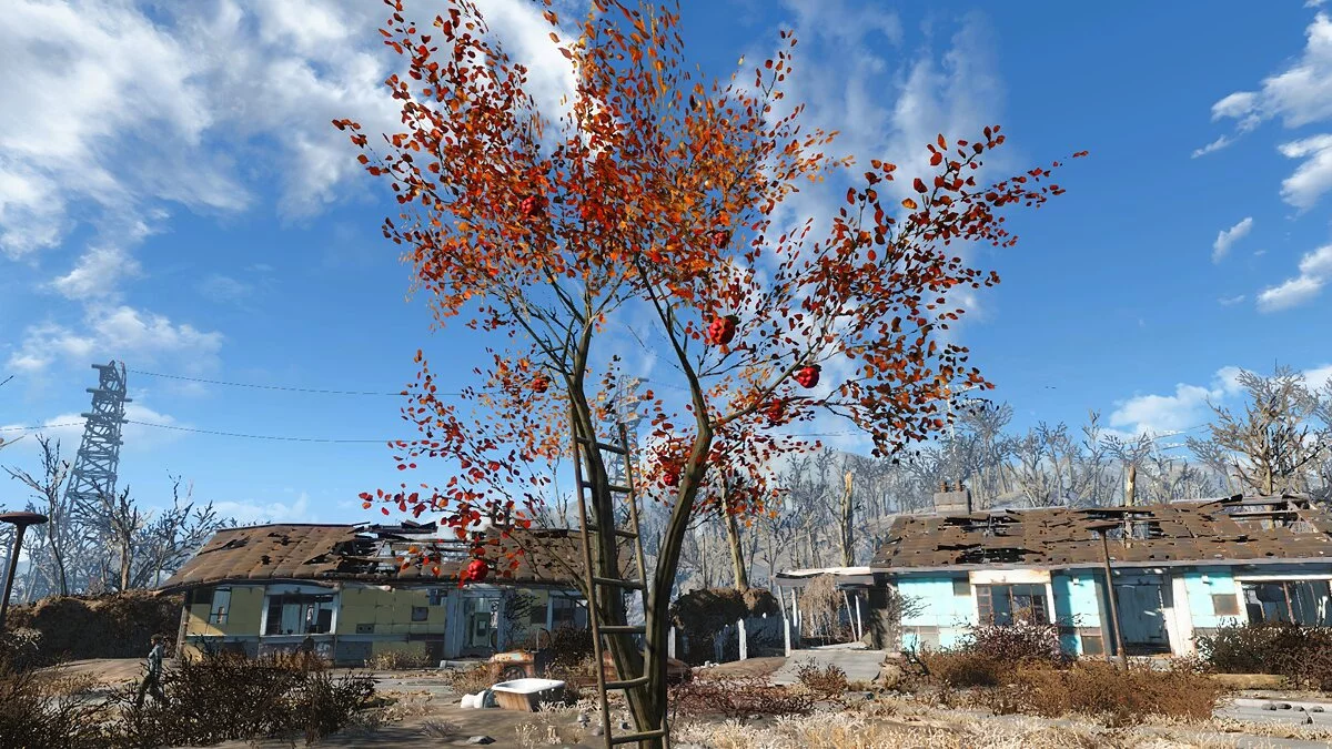 Fallout 4 — Выращивание яблонь в поселениях