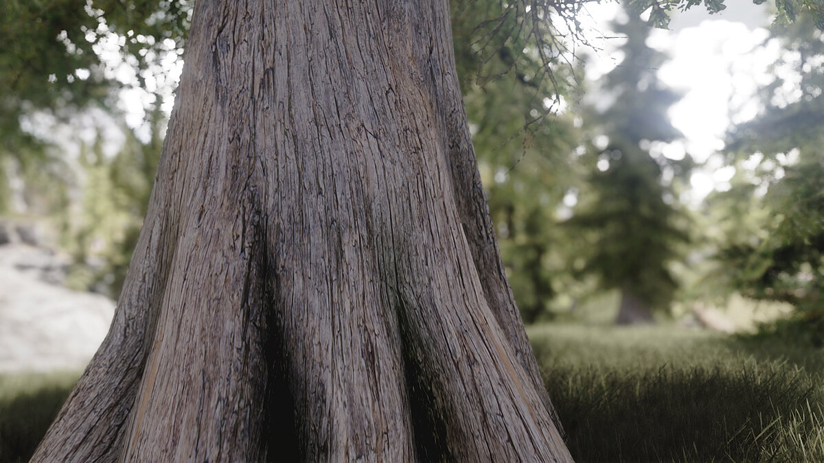 Elder Scrolls 5: Skyrim Special Edition — 2К текстуры деревьев